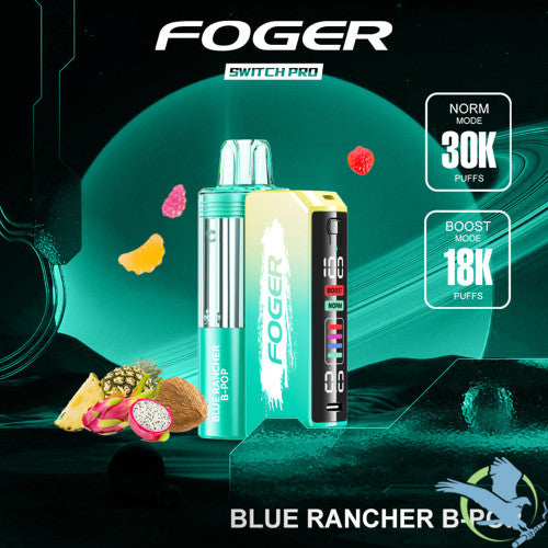 Foger Switch Pro Kit 30K Puffs 19ML Disposable Device & Power Bank - Display of 5