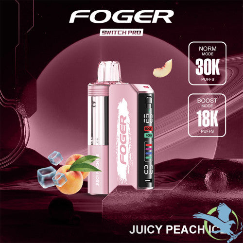 Foger Switch Pro Kit 30K Puffs 19ML Disposable Device & Power Bank - Display of 5