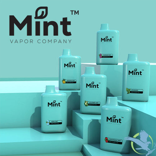 Mint Vapor Company 16ML 6500 Puffs 500mAh Prefilled Nicotine Salt Rechargeable Disposable Vape Device With Mesh Coil - Display of 5