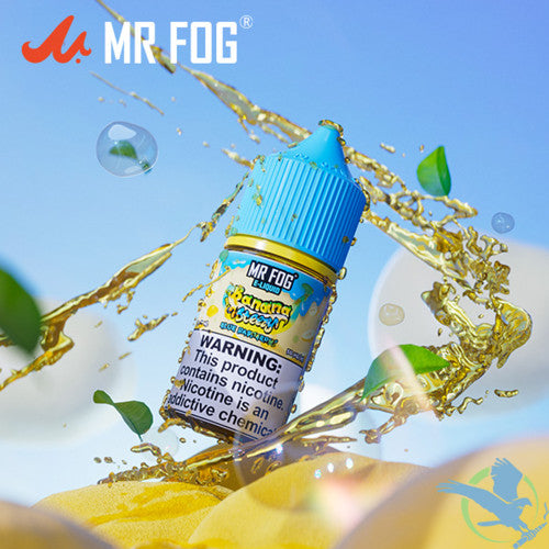 Mr Fog Steezy Nicotine Salt E-Liquid 30ML
