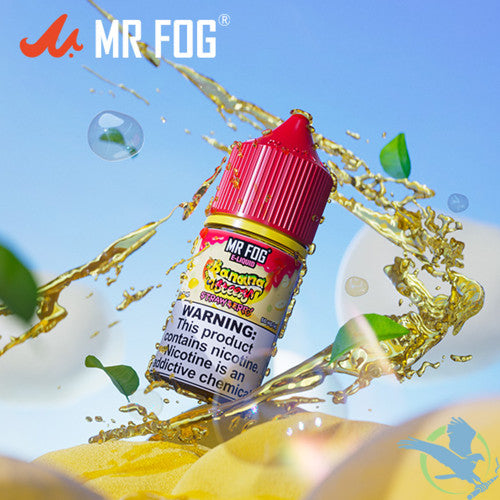 Mr Fog Steezy Nicotine Salt E-Liquid 30ML