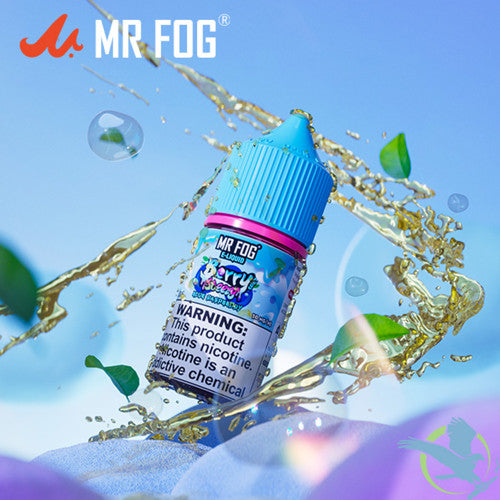 Mr Fog Steezy Nicotine Salt E-Liquid 30ML