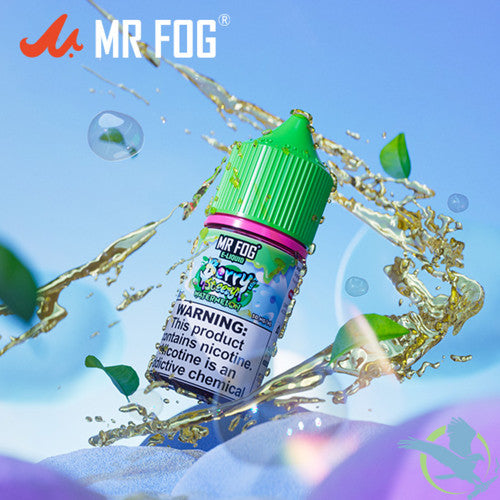 Mr Fog Steezy Nicotine Salt E-Liquid 30ML