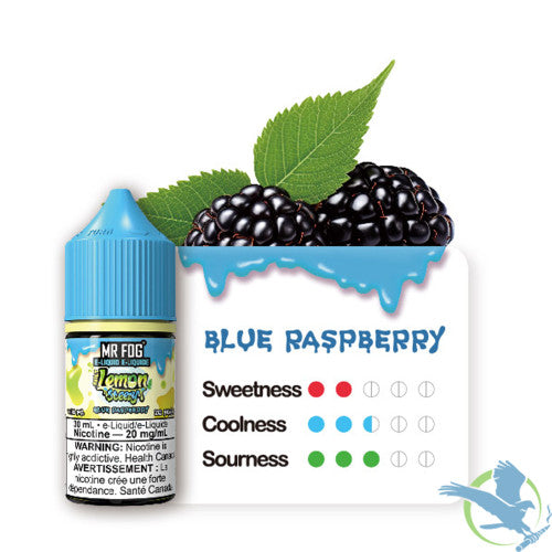 Mr Fog Steezy Nicotine Salt E-Liquid 30ML