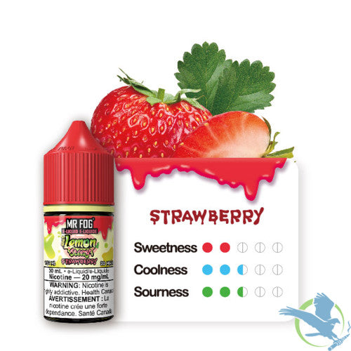 Mr Fog Steezy Nicotine Salt E-Liquid 30ML