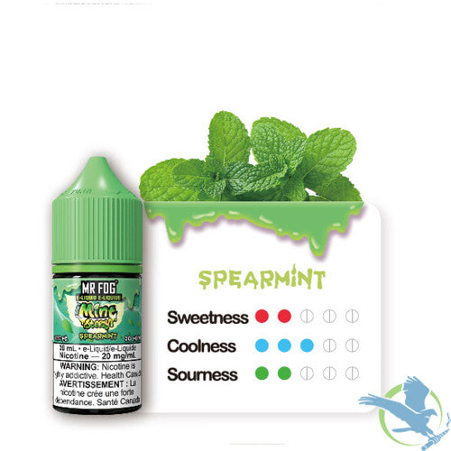Mr Fog Steezy Nicotine Salt E-Liquid 30ML