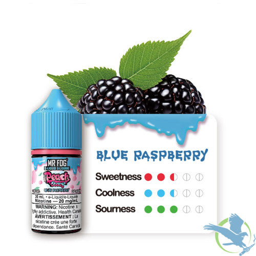 Mr Fog Steezy Nicotine Salt E-Liquid 30ML