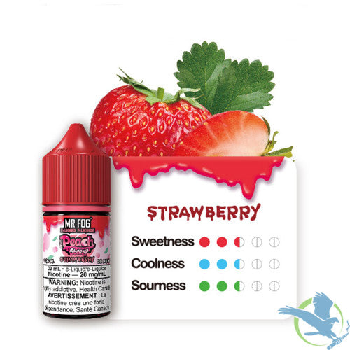 Mr Fog Steezy Nicotine Salt E-Liquid 30ML