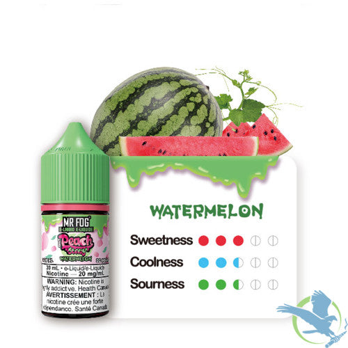 Mr Fog Steezy Nicotine Salt E-Liquid 30ML