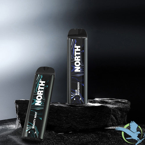 North 10ML 5000 Puffs 550mAh 3% Prefilled Nicotine Salt Rechargeable Disposable Vape Device With Mesh Coil & E-liquid & Battery Indicator - Display of 10