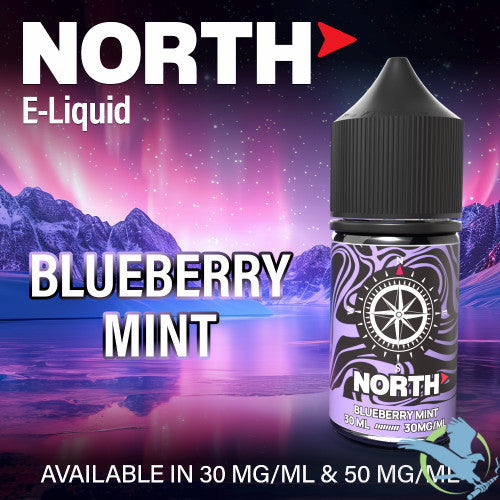 North Nicotine Salt E-Liquid 30ML