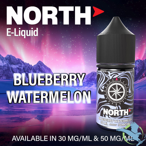 North Nicotine Salt E-Liquid 30ML