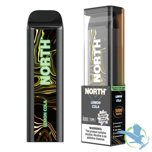 North 10ML 5000 Puffs 550mAh Prefilled Nicotine Salt Rechargeable Disposable Vape Device With Mesh Coil & E-liquid & Battery Indicator - Display of 10