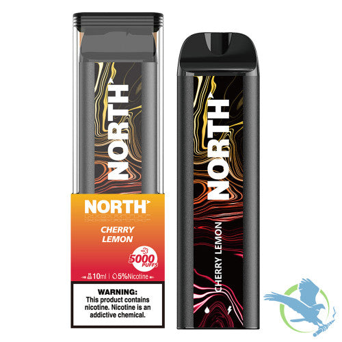 North 10ML 5000 Puffs 550mAh Prefilled Nicotine Salt Rechargeable Disposable Vape Device With Mesh Coil & E-liquid & Battery Indicator - Display of 10