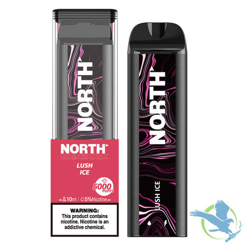 North 10ML 5000 Puffs 550mAh Prefilled Nicotine Salt Rechargeable Disposable Vape Device With Mesh Coil & E-liquid & Battery Indicator - Display of 10