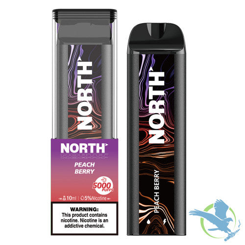 North 10ML 5000 Puffs 550mAh Prefilled Nicotine Salt Rechargeable Disposable Vape Device With Mesh Coil & E-liquid & Battery Indicator - Display of 10
