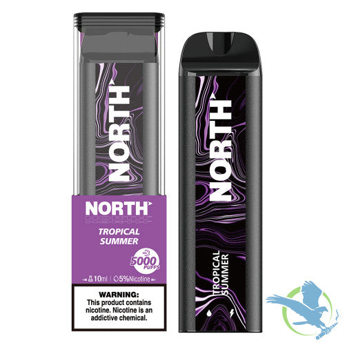 North 10ML 5000 Puffs 550mAh Prefilled Nicotine Salt Rechargeable Disposable Vape Device With Mesh Coil & E-liquid & Battery Indicator - Display of 10