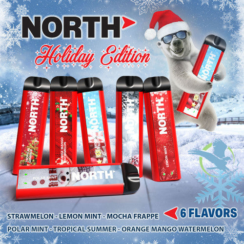 North 10ML 5000 Puffs 550mAh Prefilled Nicotine Salt Rechargeable Disposable Vape Device With Mesh Coil & E-liquid & Battery Indicator - Display of 10