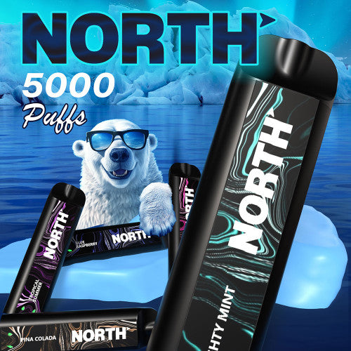North 10ML 5000 Puffs 550mAh Prefilled Nicotine Salt Rechargeable Disposable Vape Device With Mesh Coil & E-liquid & Battery Indicator - Display of 10